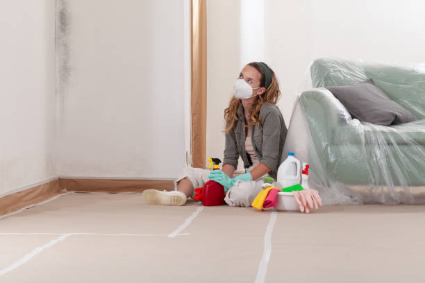 Reliable Mold Inspection And Testing contractor in Pendleton, NC by 24 Hour Mold Removal